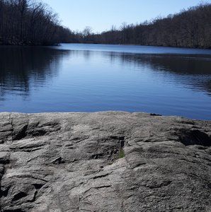 Meet your Posher, Ginger